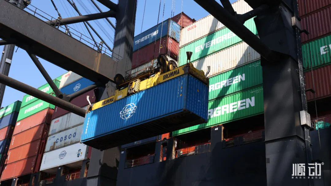 順動(dòng)香港拍攝vlog，體驗(yàn)感滿滿~